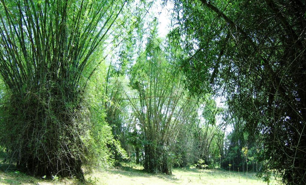 Marg Stream Valley Витири Екстериор снимка