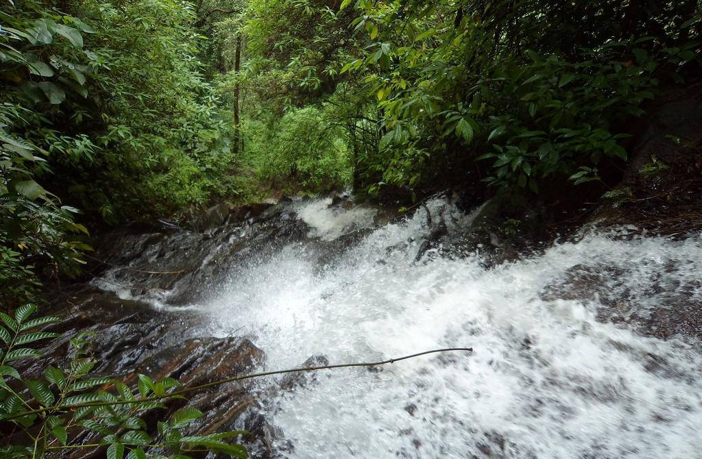 Marg Stream Valley Витири Екстериор снимка