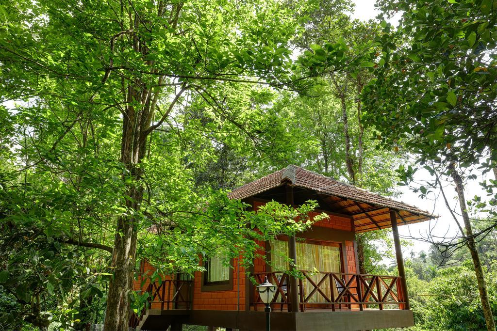 Marg Stream Valley Витири Екстериор снимка