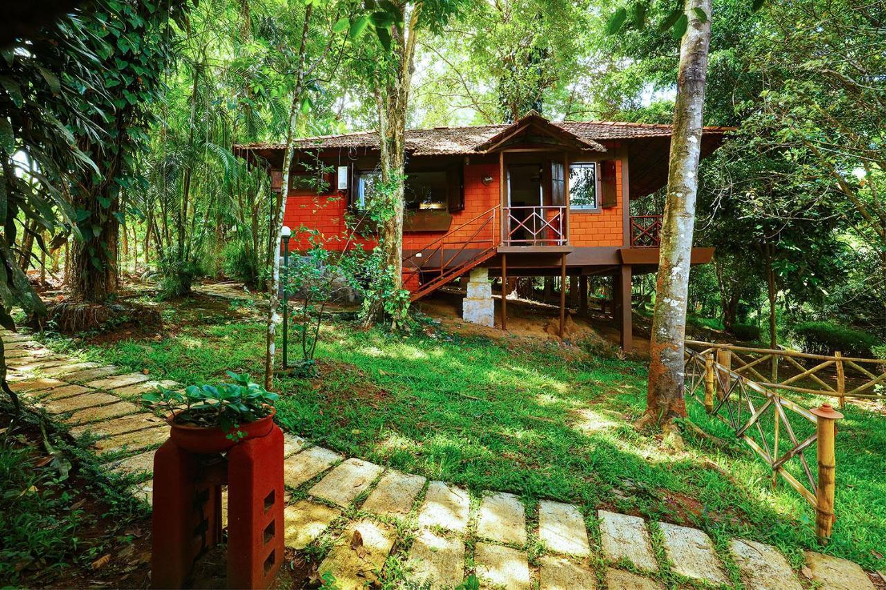 Marg Stream Valley Витири Екстериор снимка